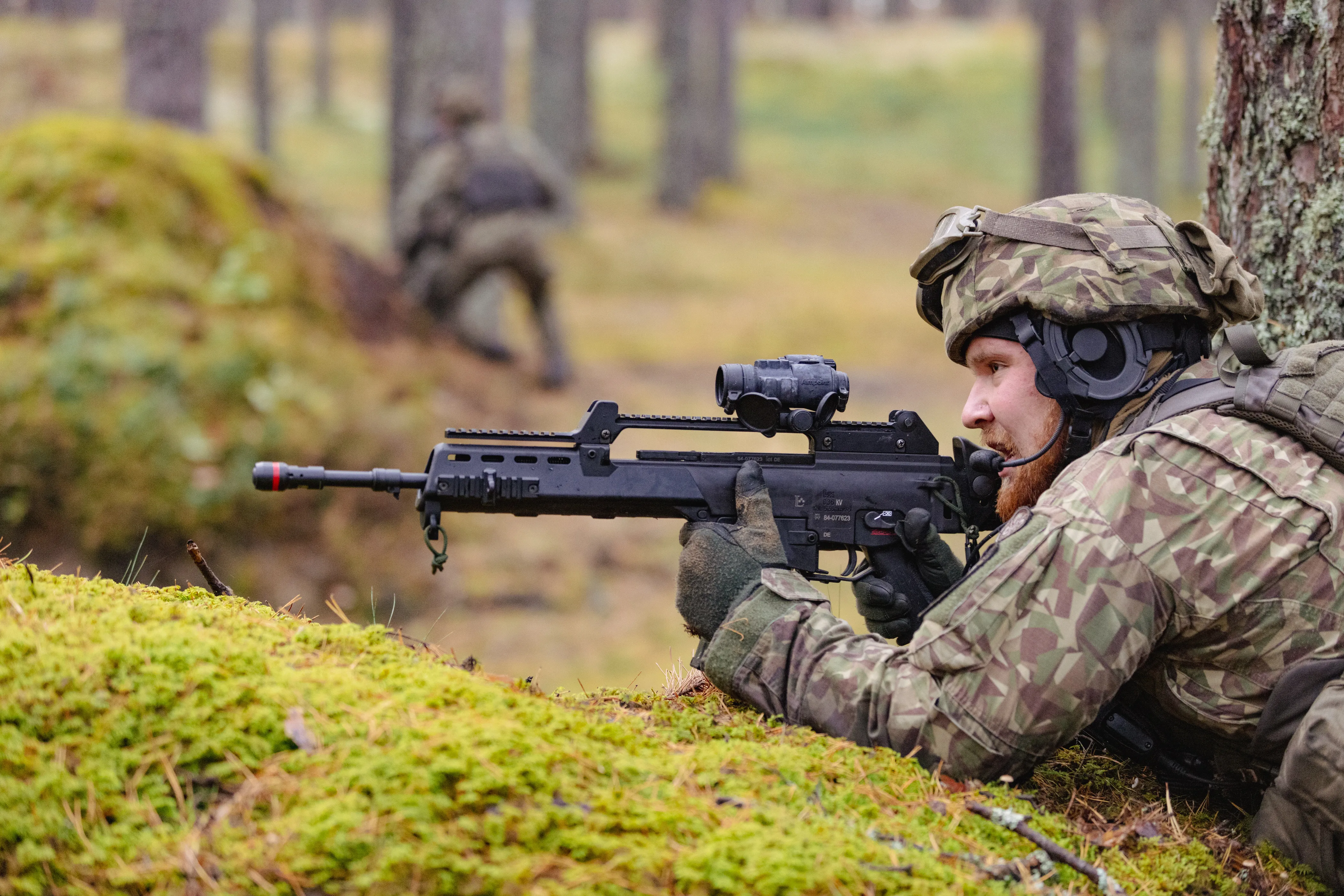 54049322629_55917bf356_o.webp