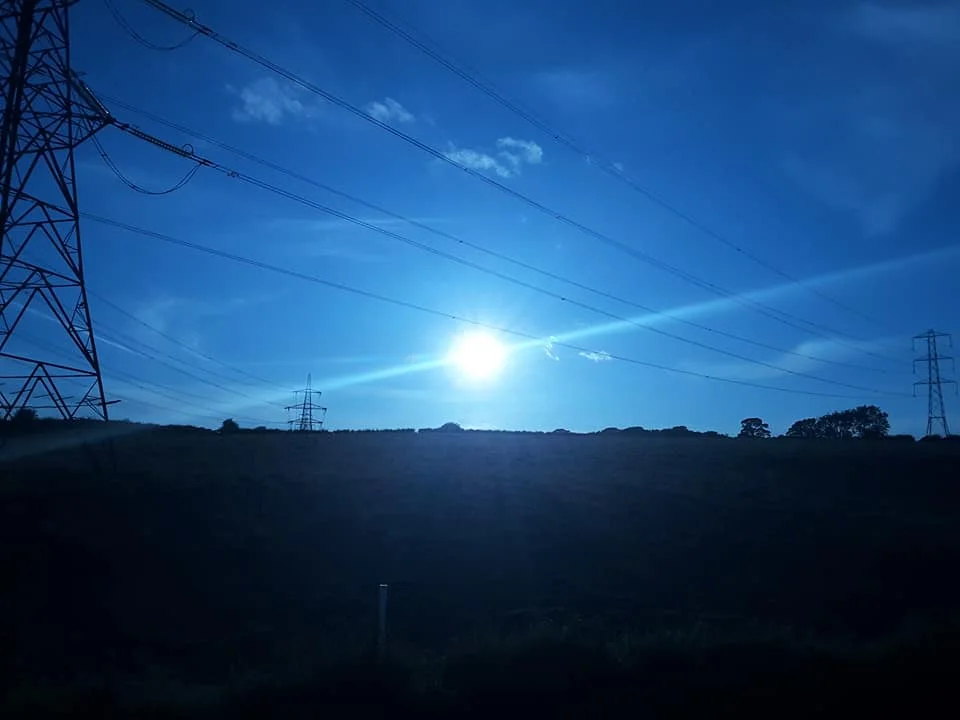 65015630_10156357407811074_5045286602163617792_n.webp