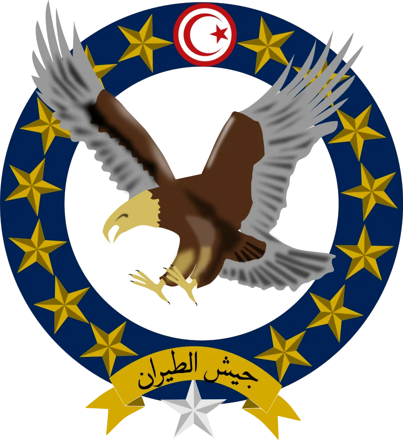 800px-أركان_جيش_الطيران،_تونس.svg.webp