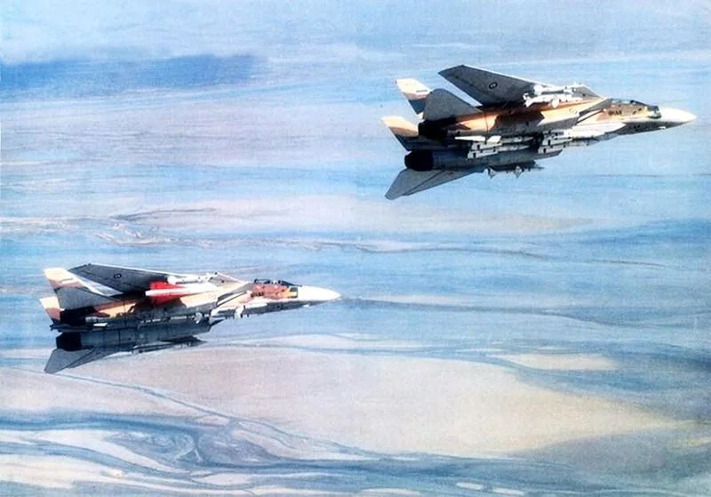 800px-Irani_F-14_Tomcats_carrying_AIM-54_Phoenixs.webp