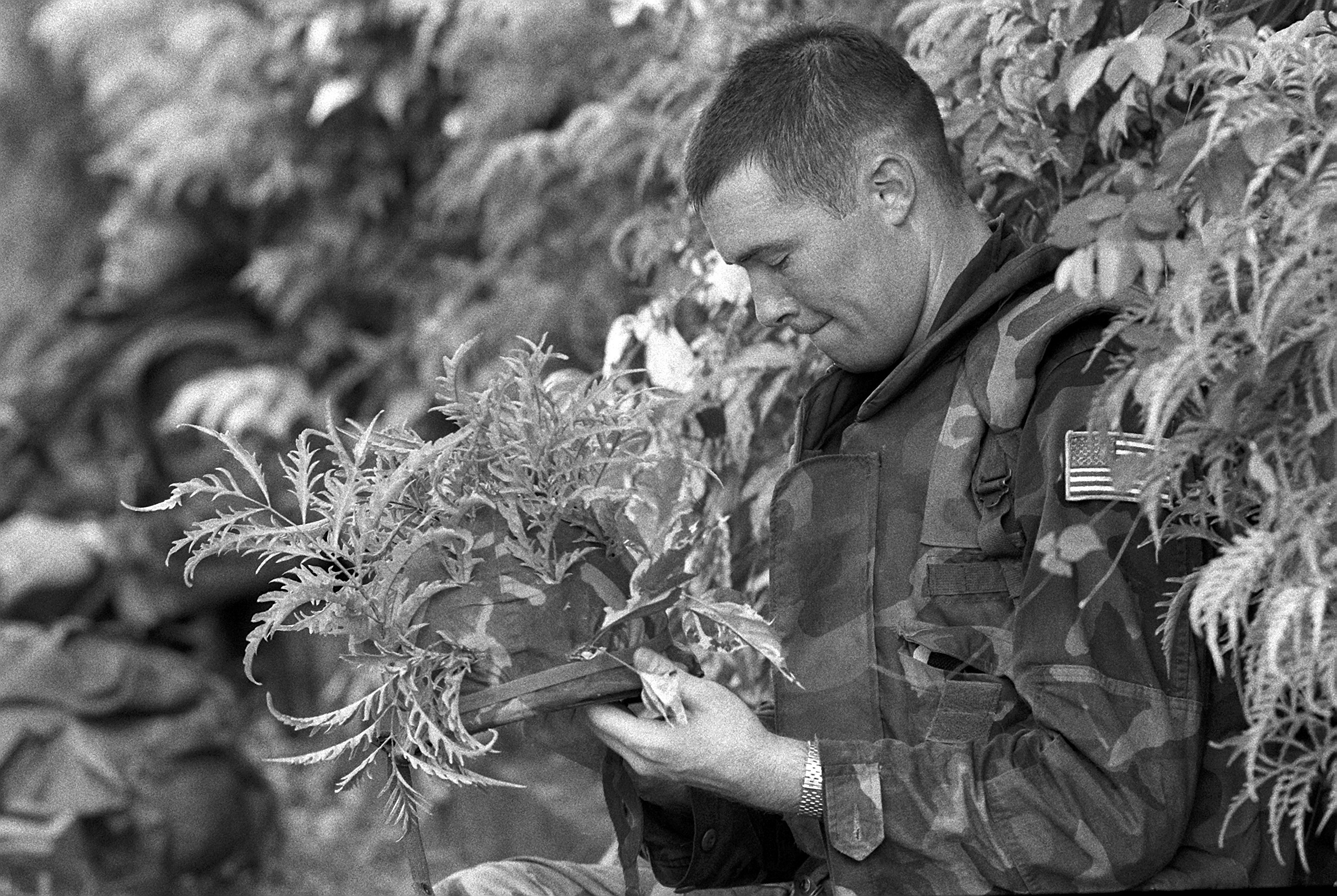 a-marine-uses-plants-to-camouflage-his-helmet-as-he-participates-in-operation-e23d18.jpg
