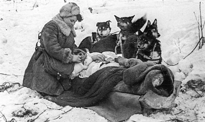 arktikaСанинструктор Е. Ф. Колесникова эвакуирует с поля боя на собачьей упряжке раненого бой...webp