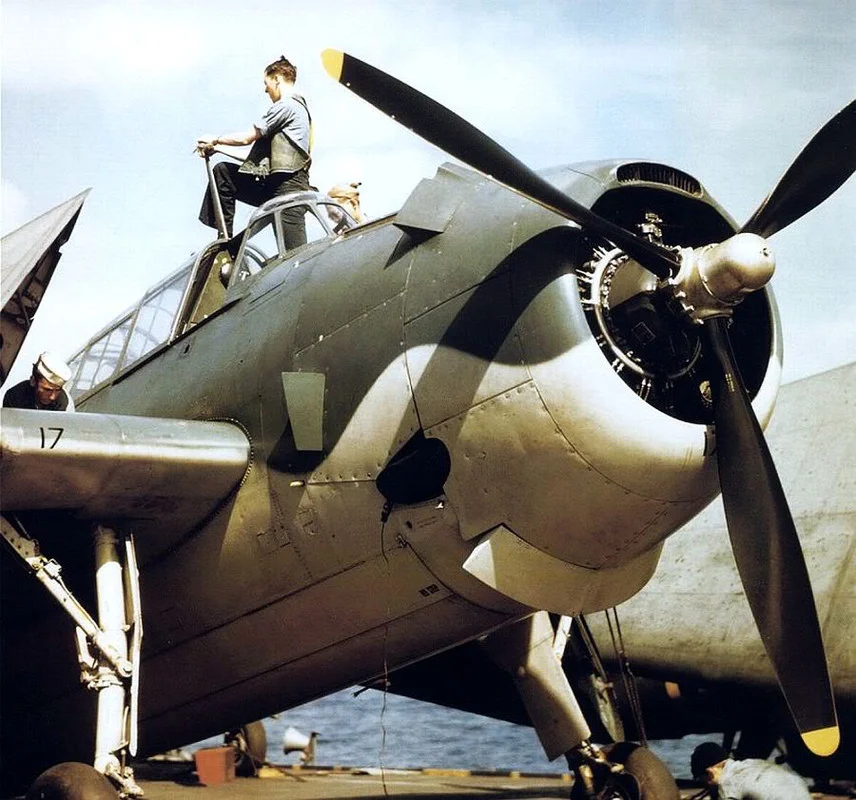 Avenger-colr.webp