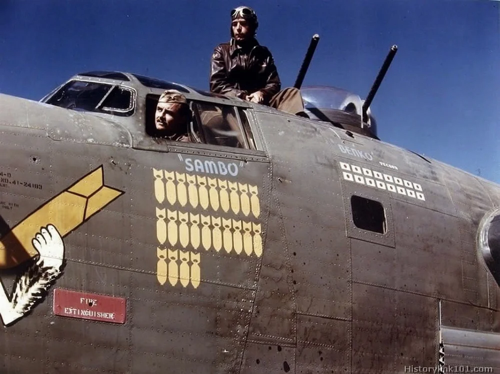 B24-nose-1.webp