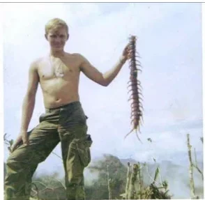 centipede.webp