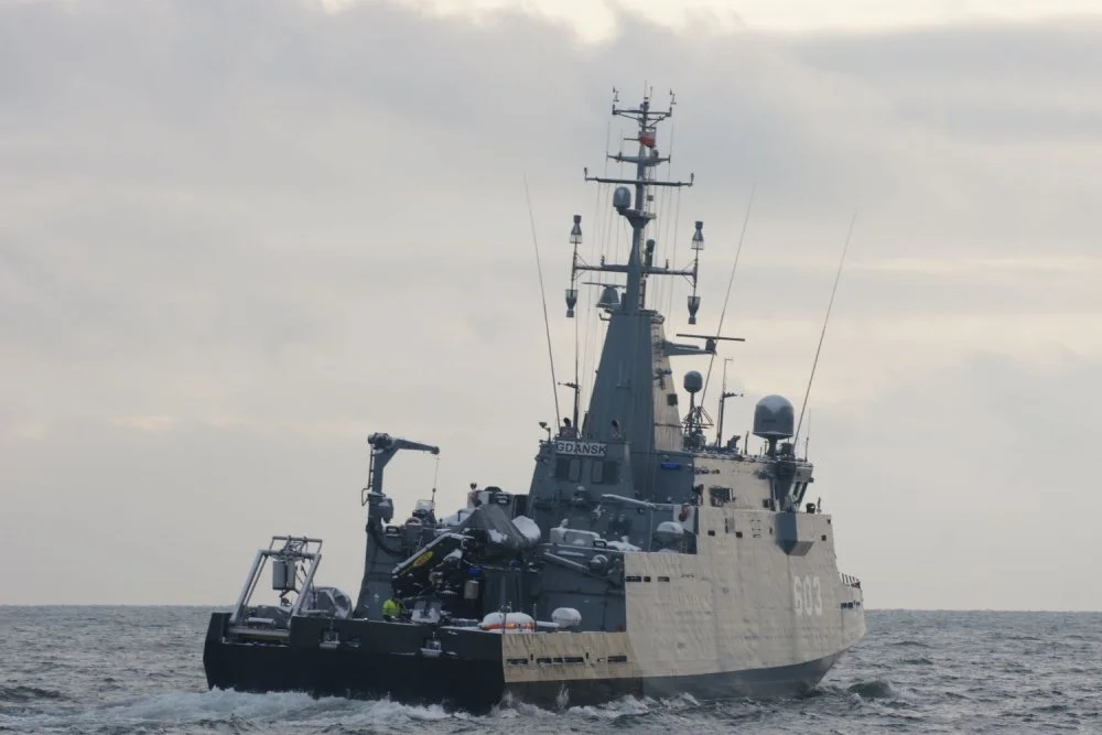 cislak-orp-mewa-7.uzga.webp