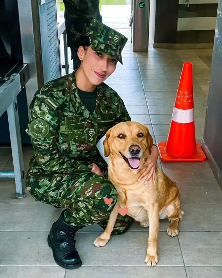 col-ejc-fem-k9-jpg.webp