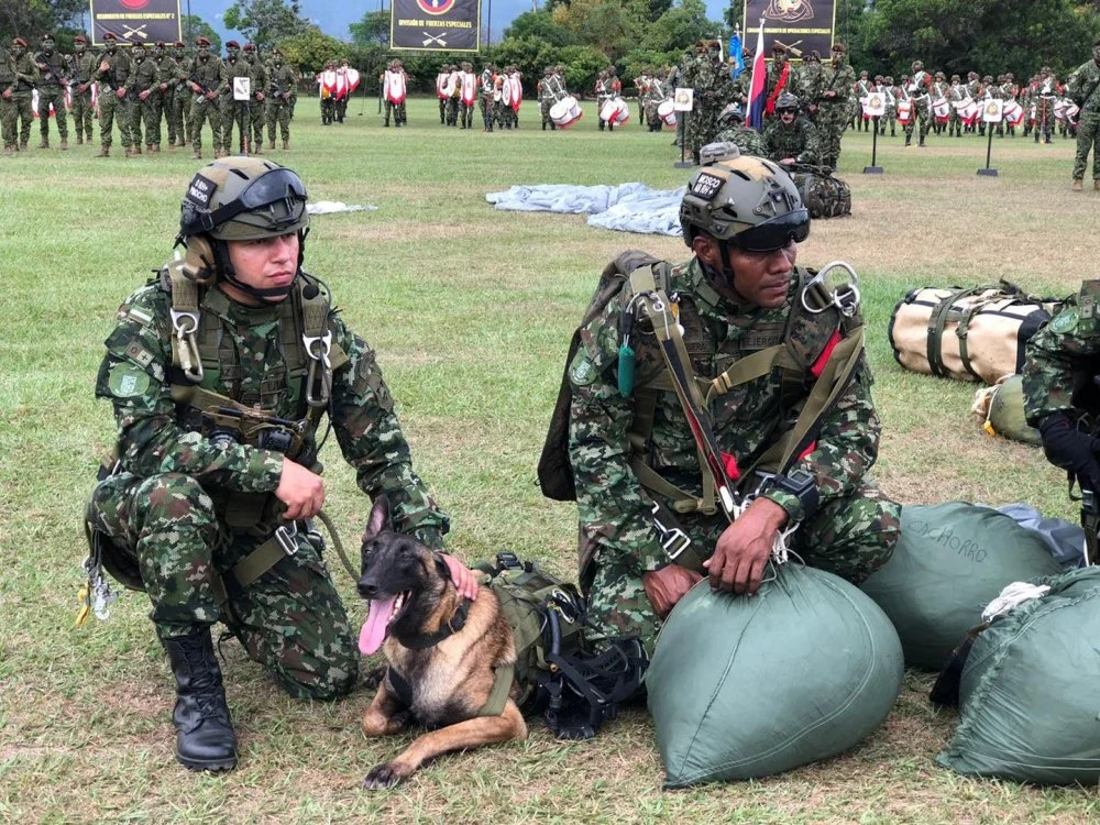 col-ejc-sf-k9-jpg.webp