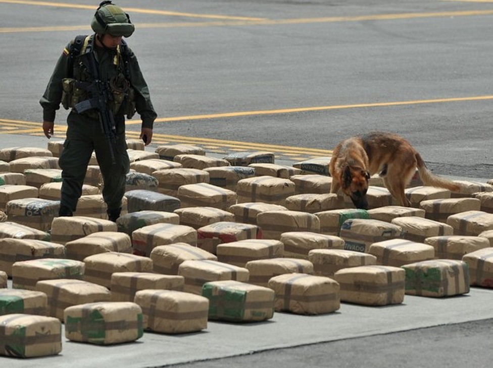Colombian-policeman-anti-drug-unit-K9.jpg
