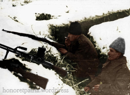 cotul-donului-23-ianuarie-1943-color.jpg