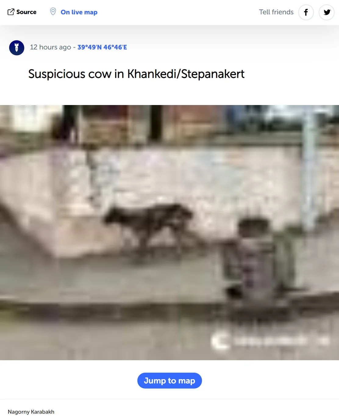 cow2.webp