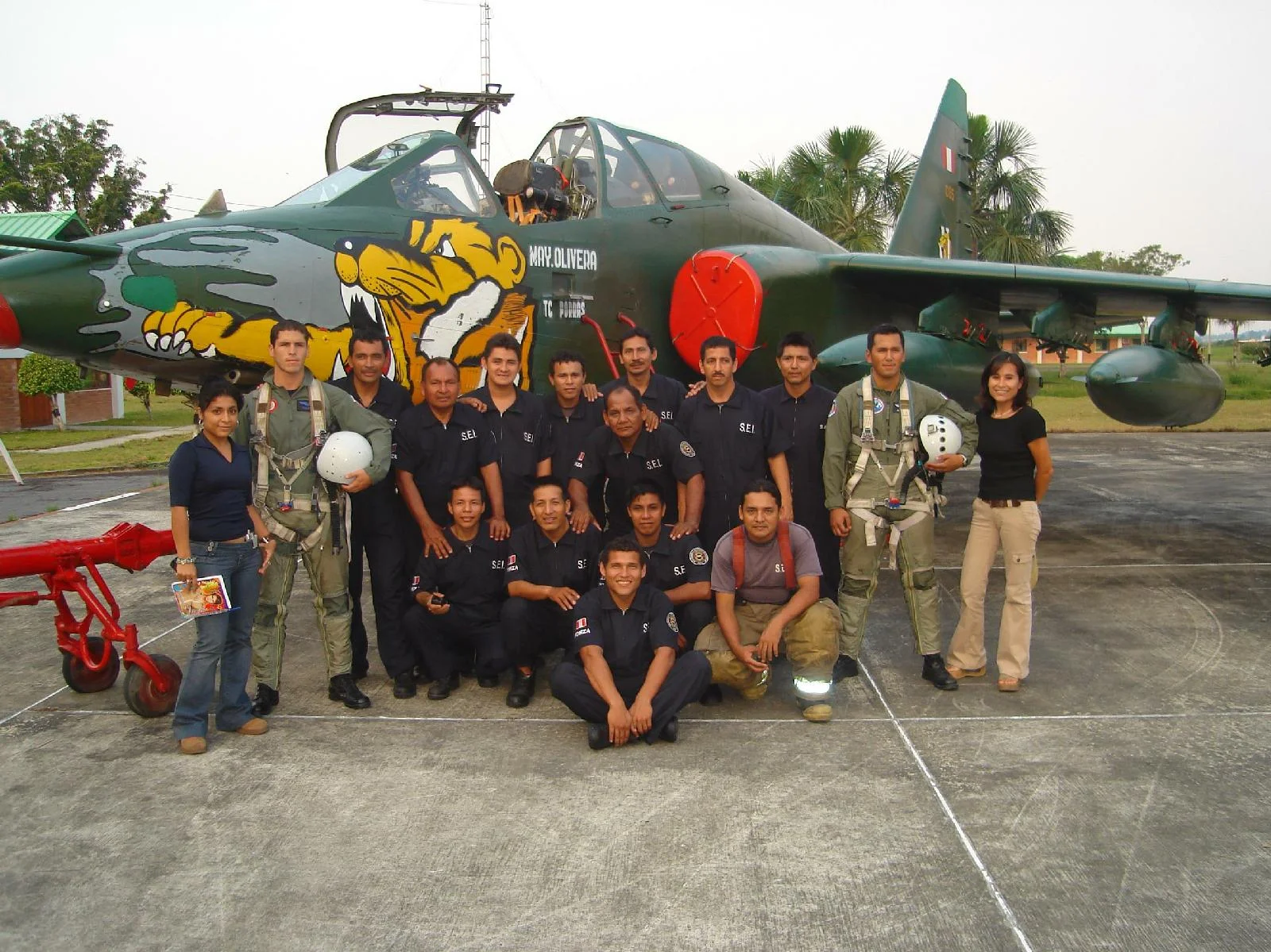 d2324.webp