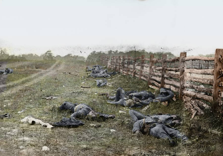 dead-bodies-battle-of-atietam.jpg