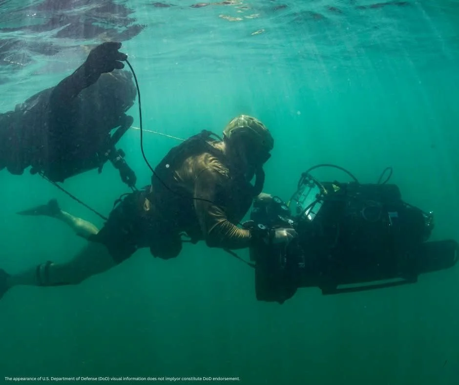 DIVER IMG_0085A1.webp