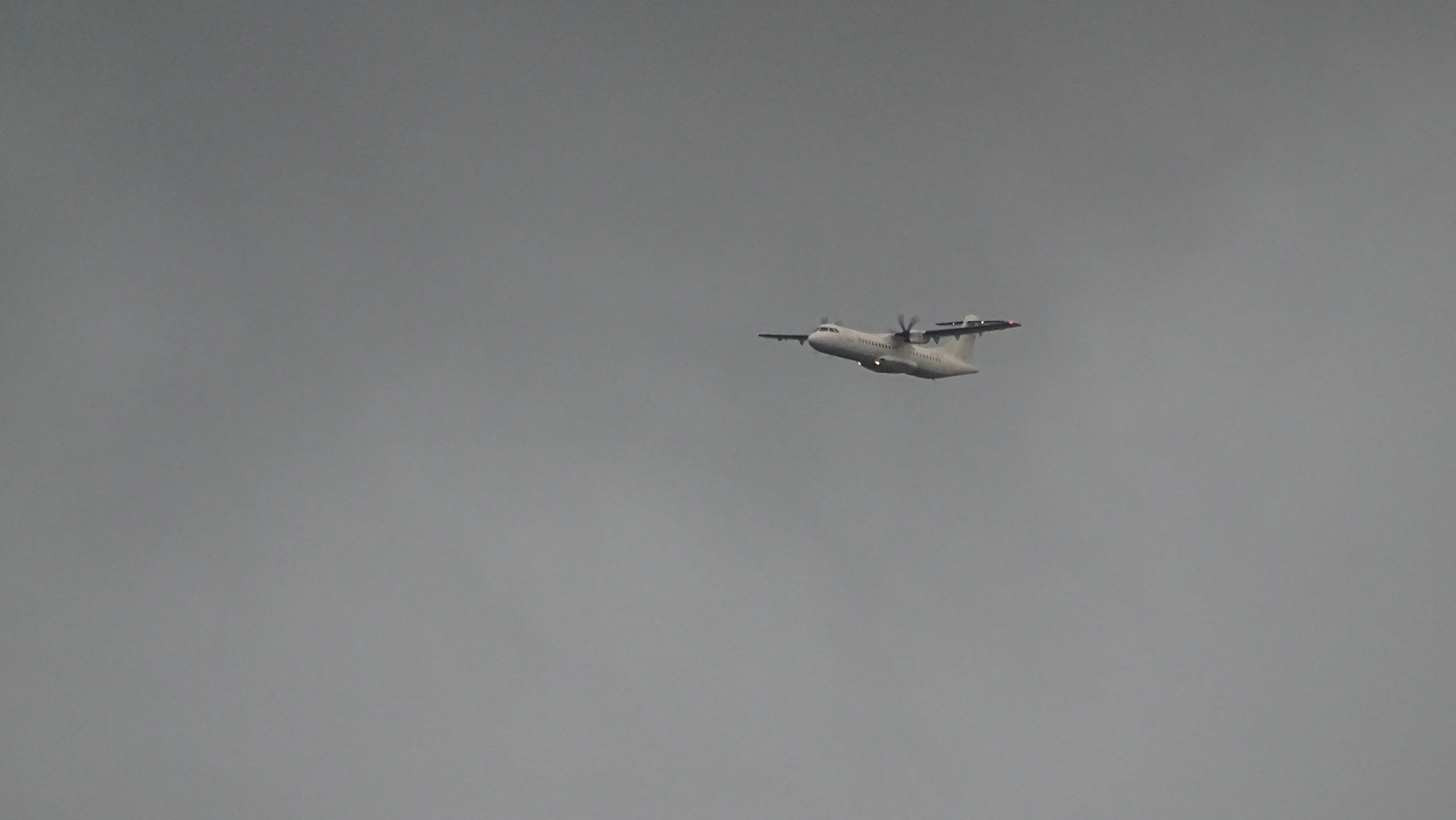 DSC00374.webp