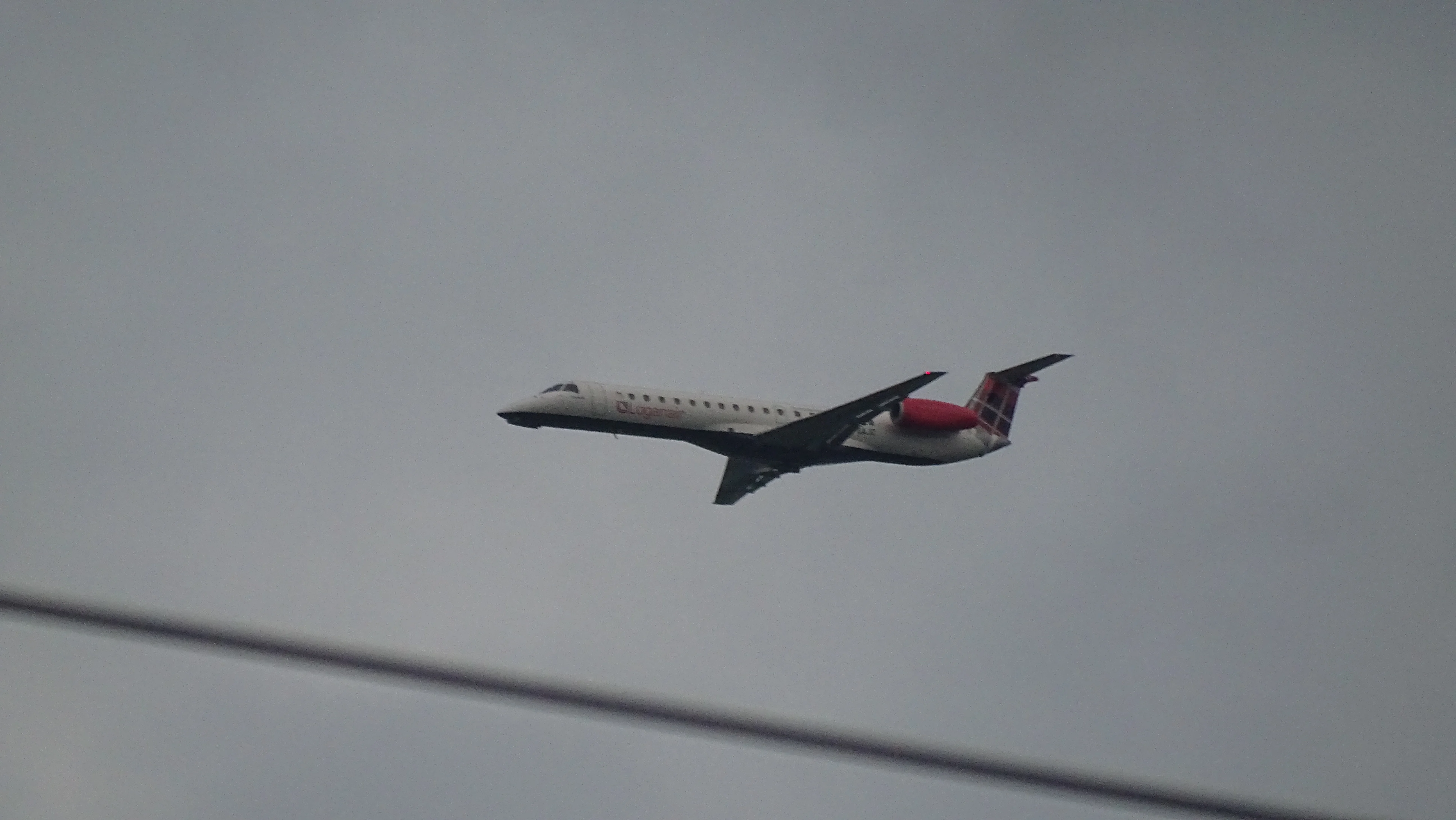 DSC00379.webp