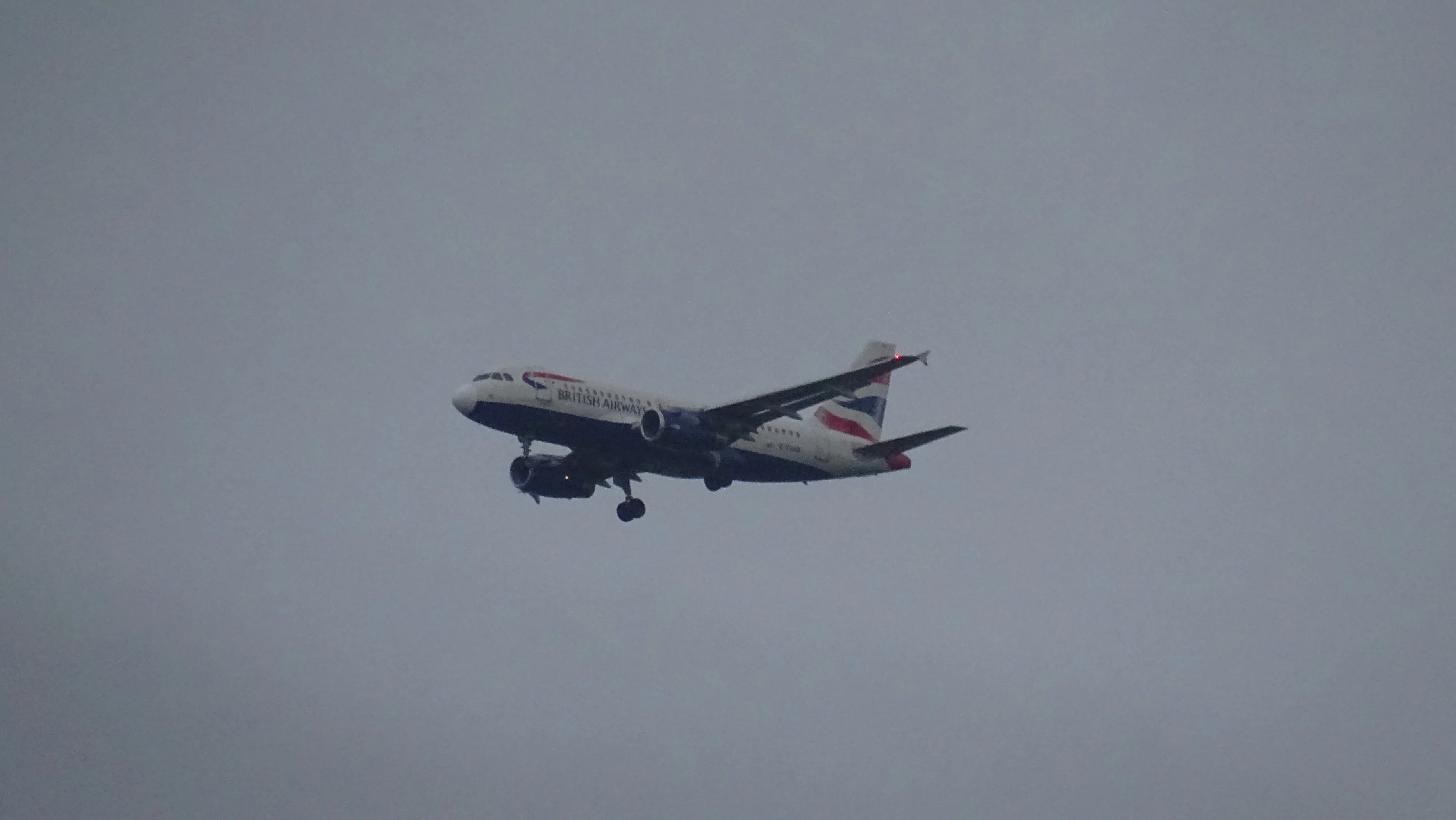 DSC00383.webp