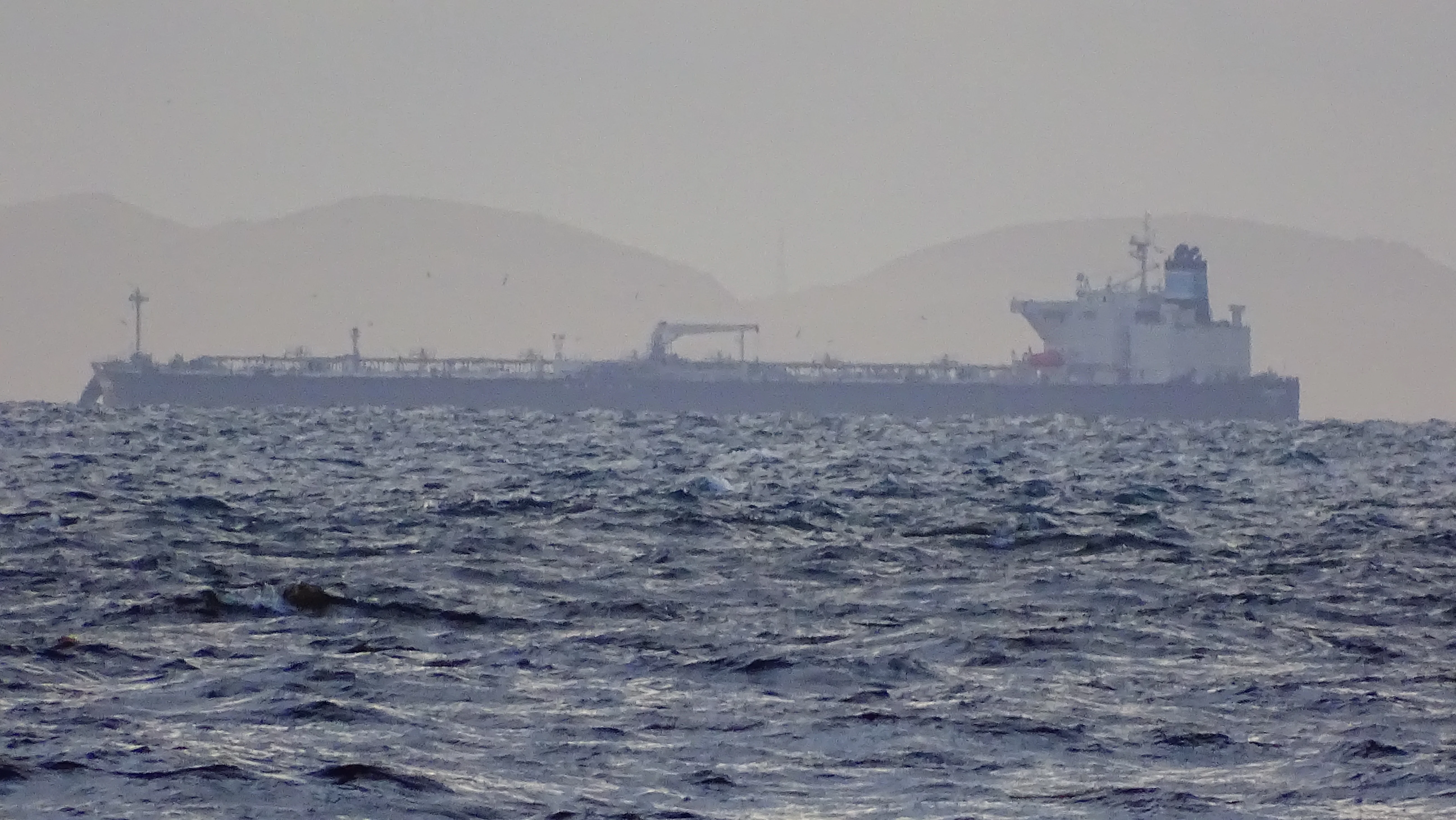 DSC00502.webp