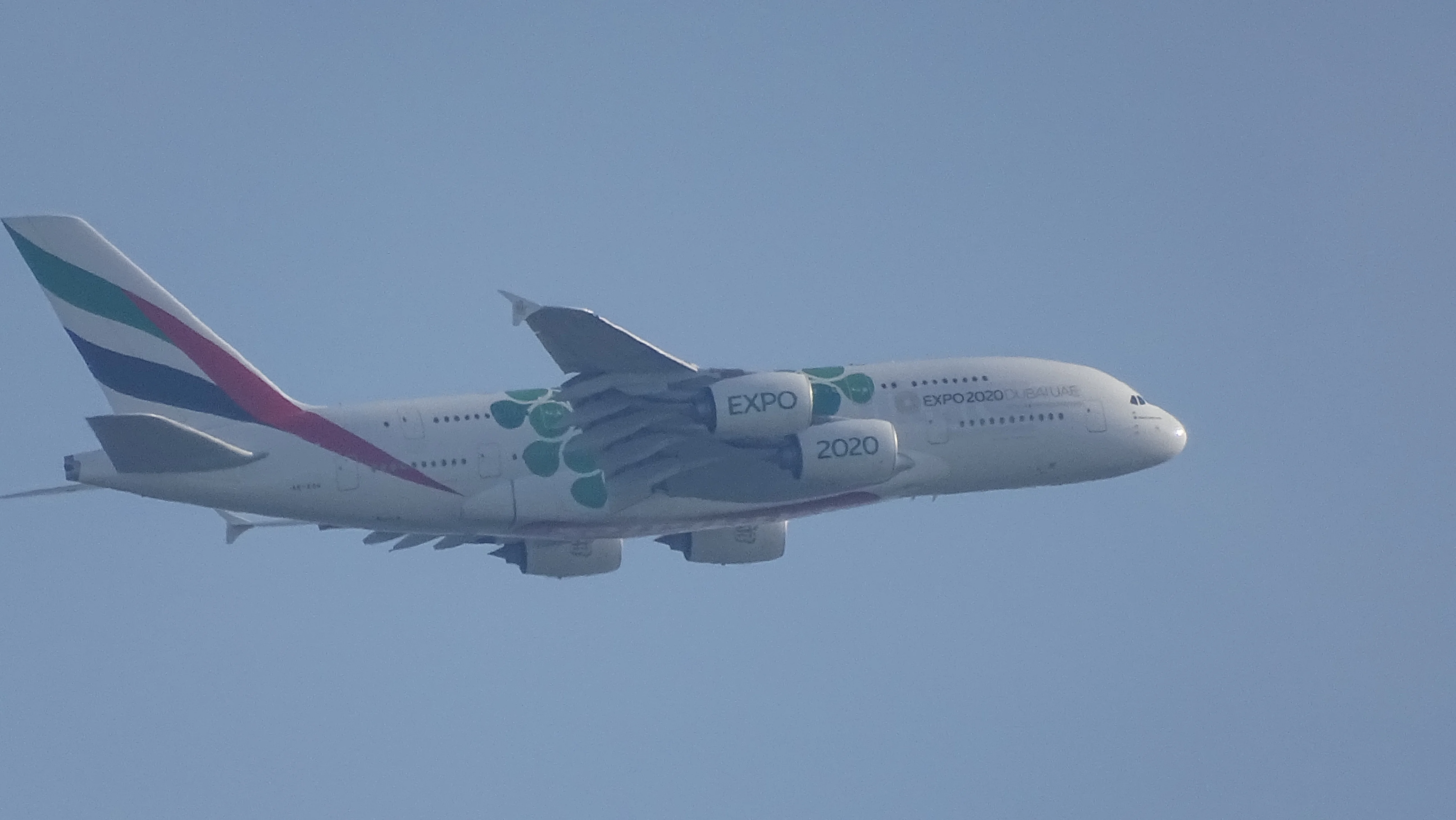 DSC02732.webp