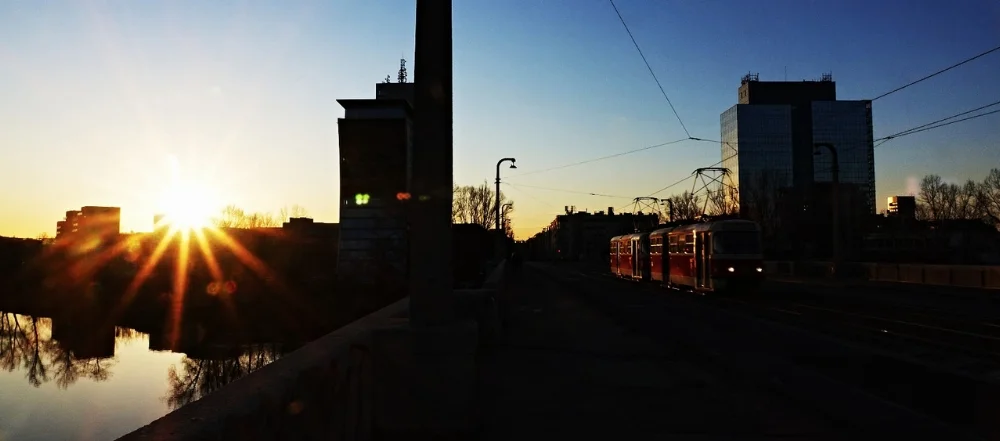 DSC09517.jpg