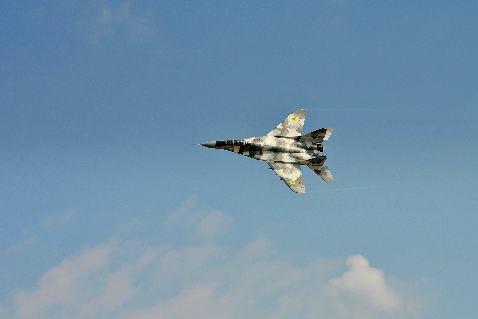 DSC_3953.webp