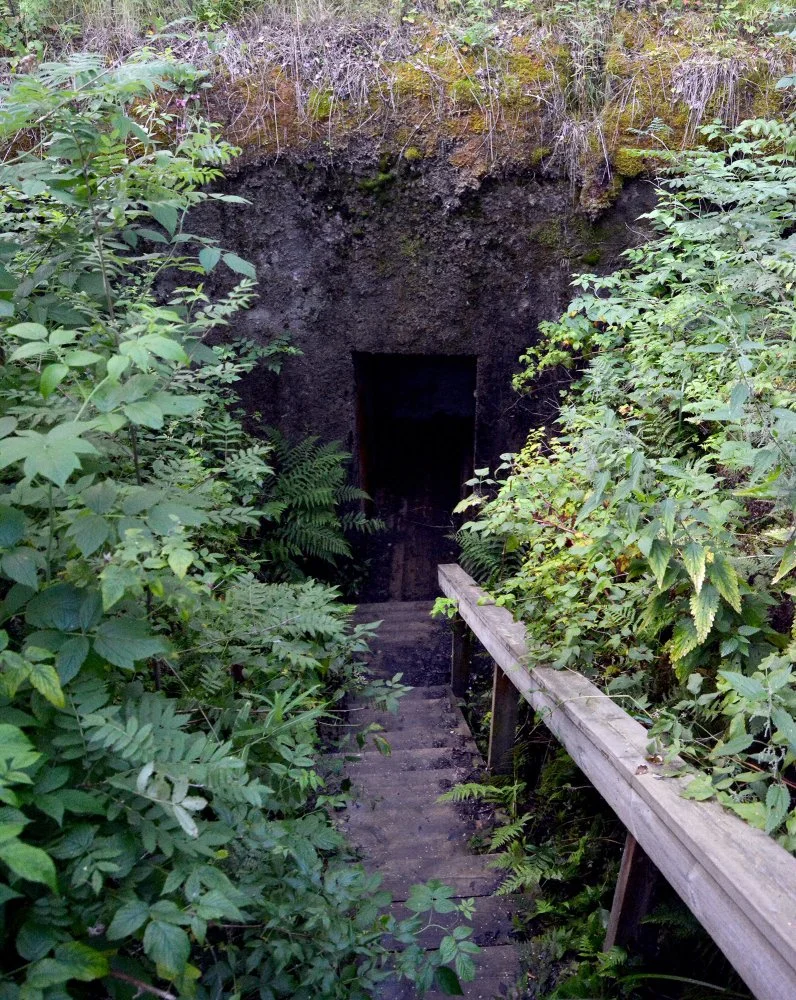 E22_1825-m-2000h.webp