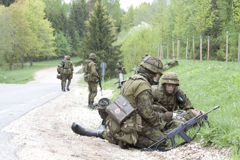 Estonian-Defence-Force-82194d.jpg