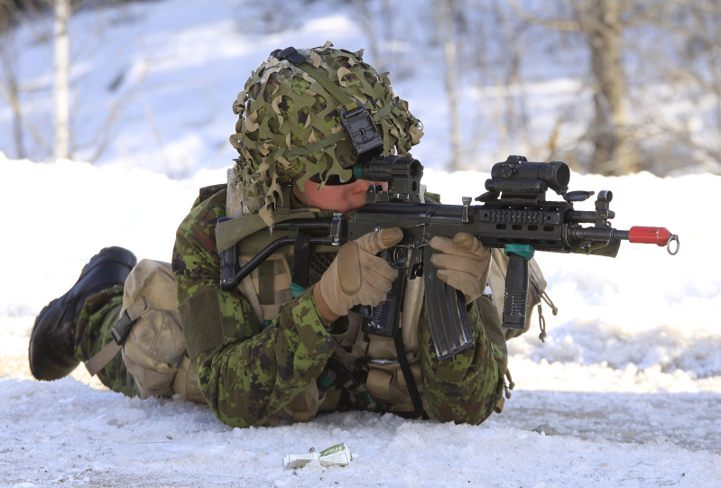 Estonian-Soldiers.jpg