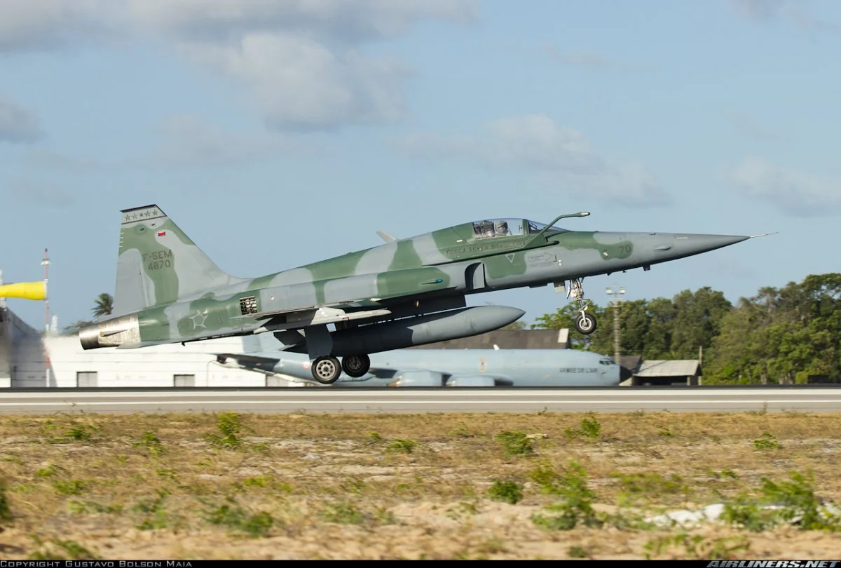 f-5m tiger brazil 03.webp