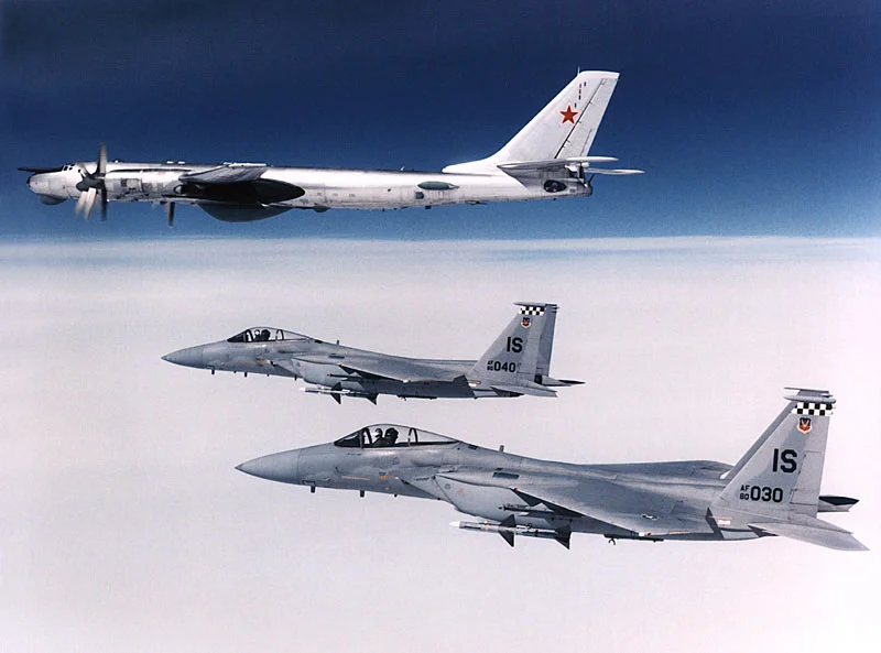 f15andbeardl0.webp