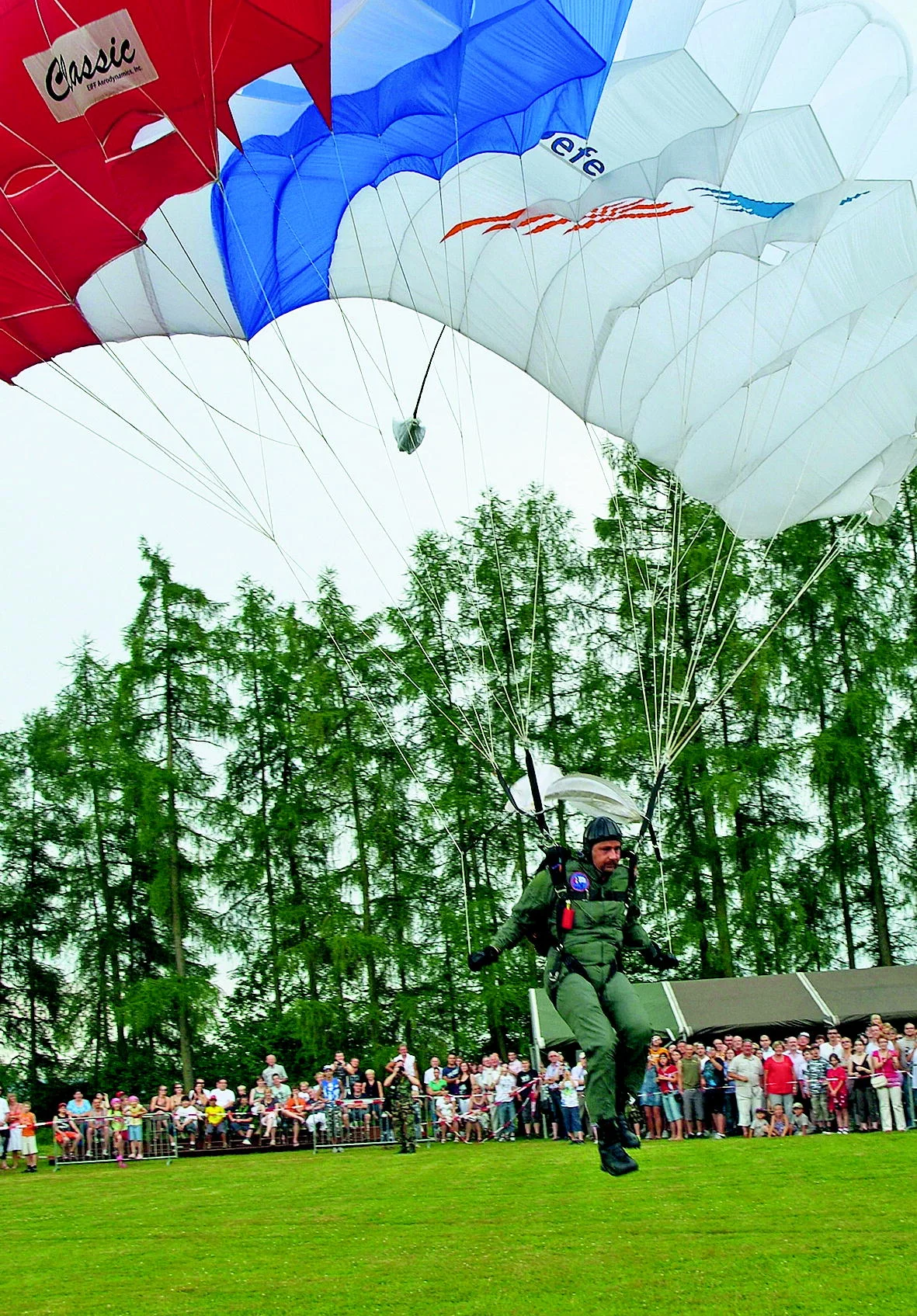 f17434319.webp