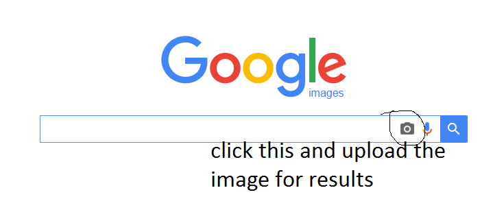 google reverse image search.png