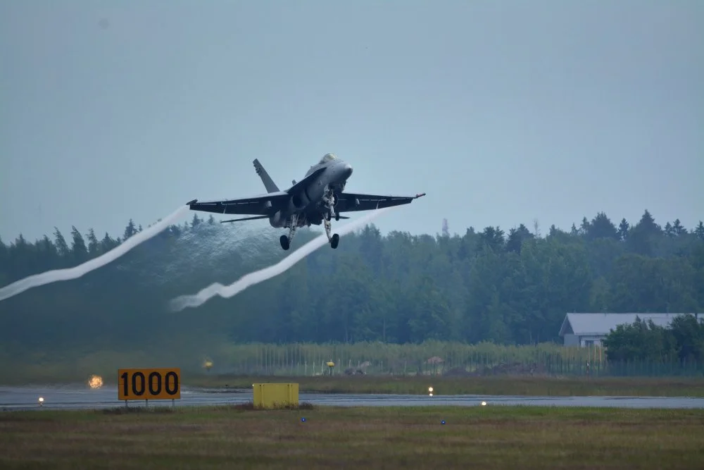 hornet-03-2000w.webp