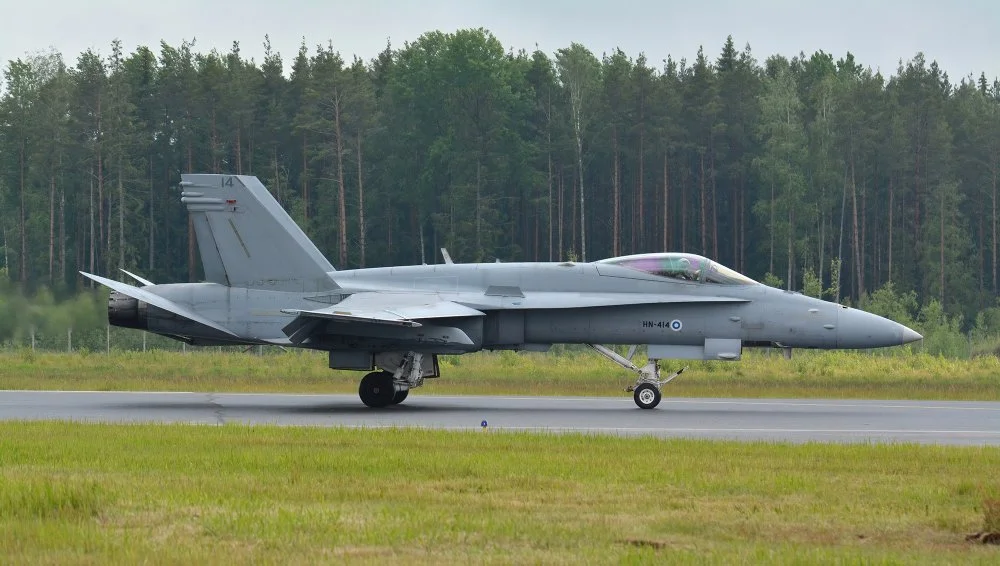 hornet-04-2000w.webp