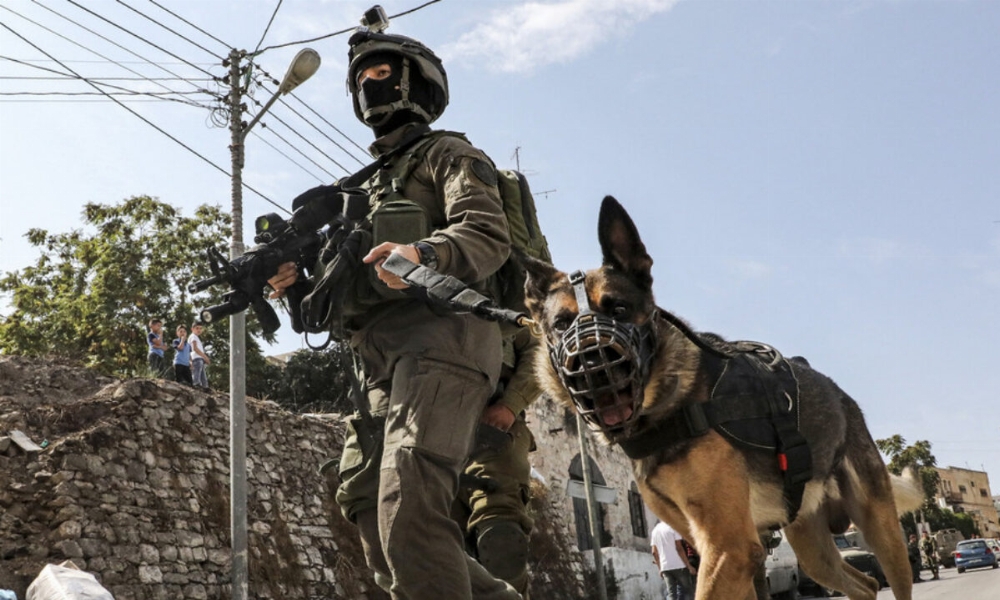 i-soldiers-set-dog-on-unarmed-Palestinian-1200x720.jpg