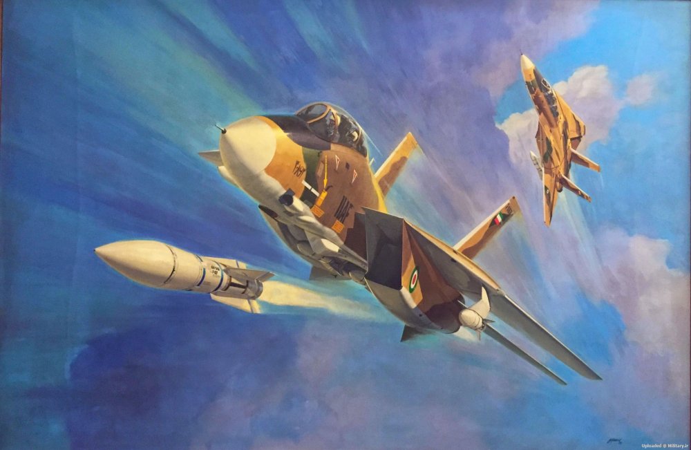 IIAF F-14A firing AIM-54 (art).jpg