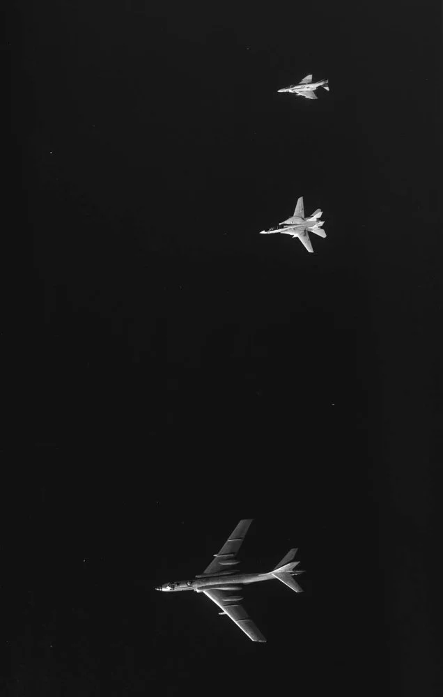 Interception F-14 vsBear.webp