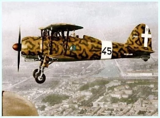 ITALIAN-AF-10.webp
