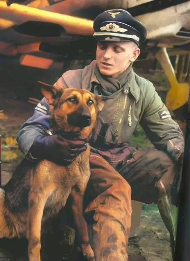 Luftwaffwe Erich Hartmann.webp