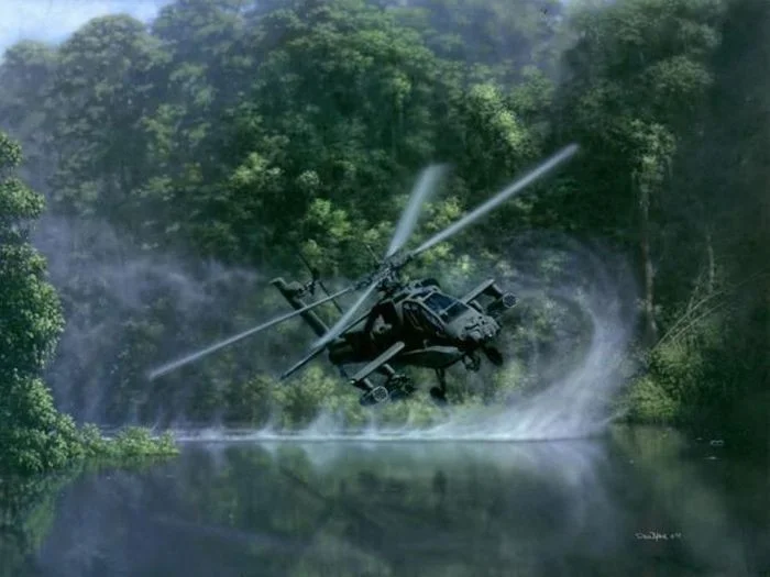 m14.webp