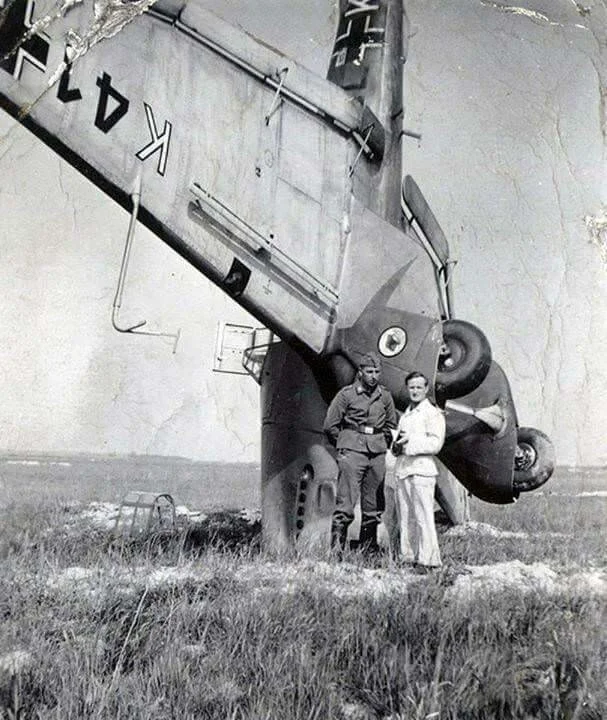 m19NoseDive.webp