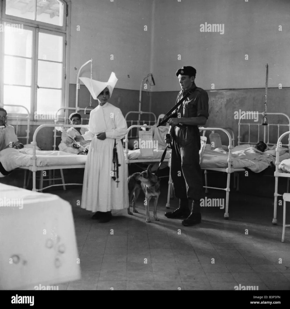 -marine-andrew-hall-accompanies-sister-mary-B3P3FN.jpg