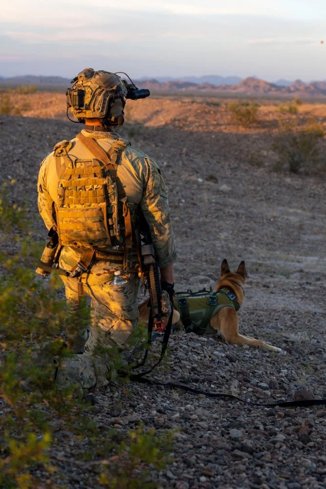 MARINE MARSOC K9 A1.webp