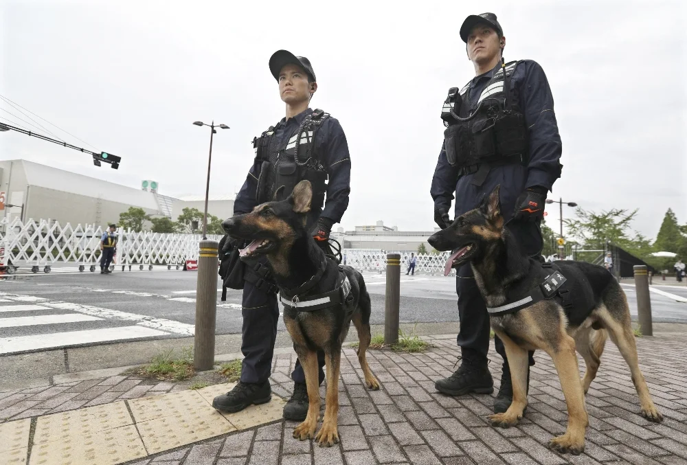 n-policedog-a-20190628.jpg