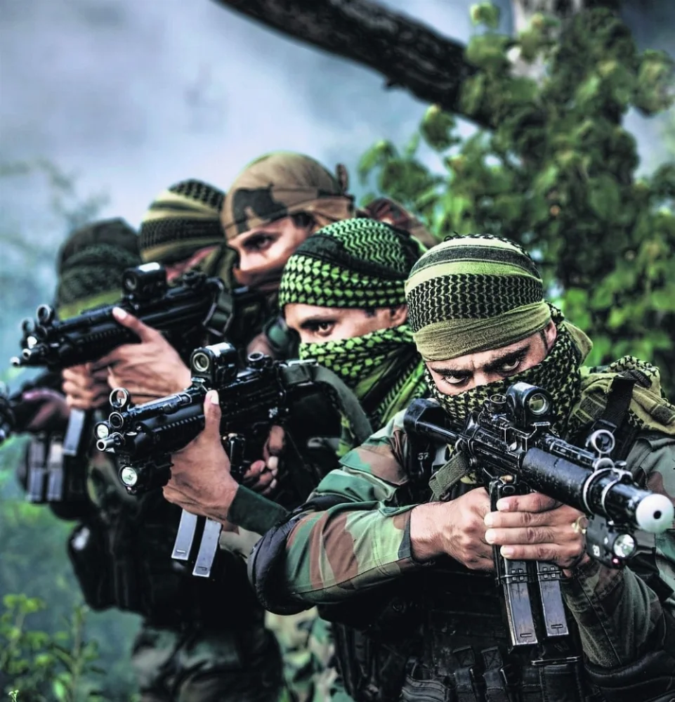 NSG_3.jpg?w=400&dpr=2.webp