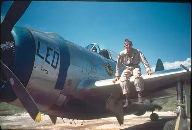 -P-47-s-nose-art-of-the-19th-FS-318th-FG-7th-AF001.webp