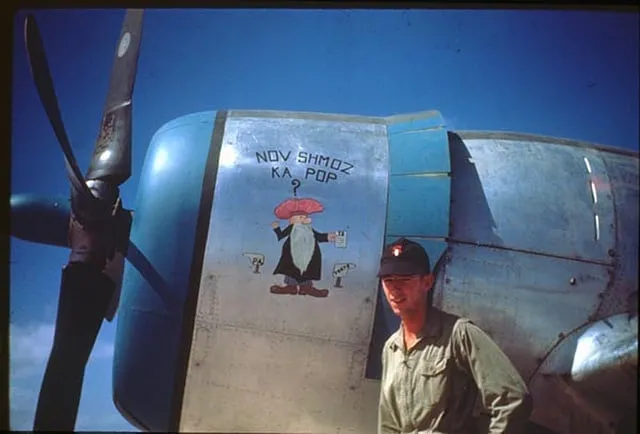 -P-47-s-nose-art-of-the-19th-FS-318th-FG-7th-AF005.webp