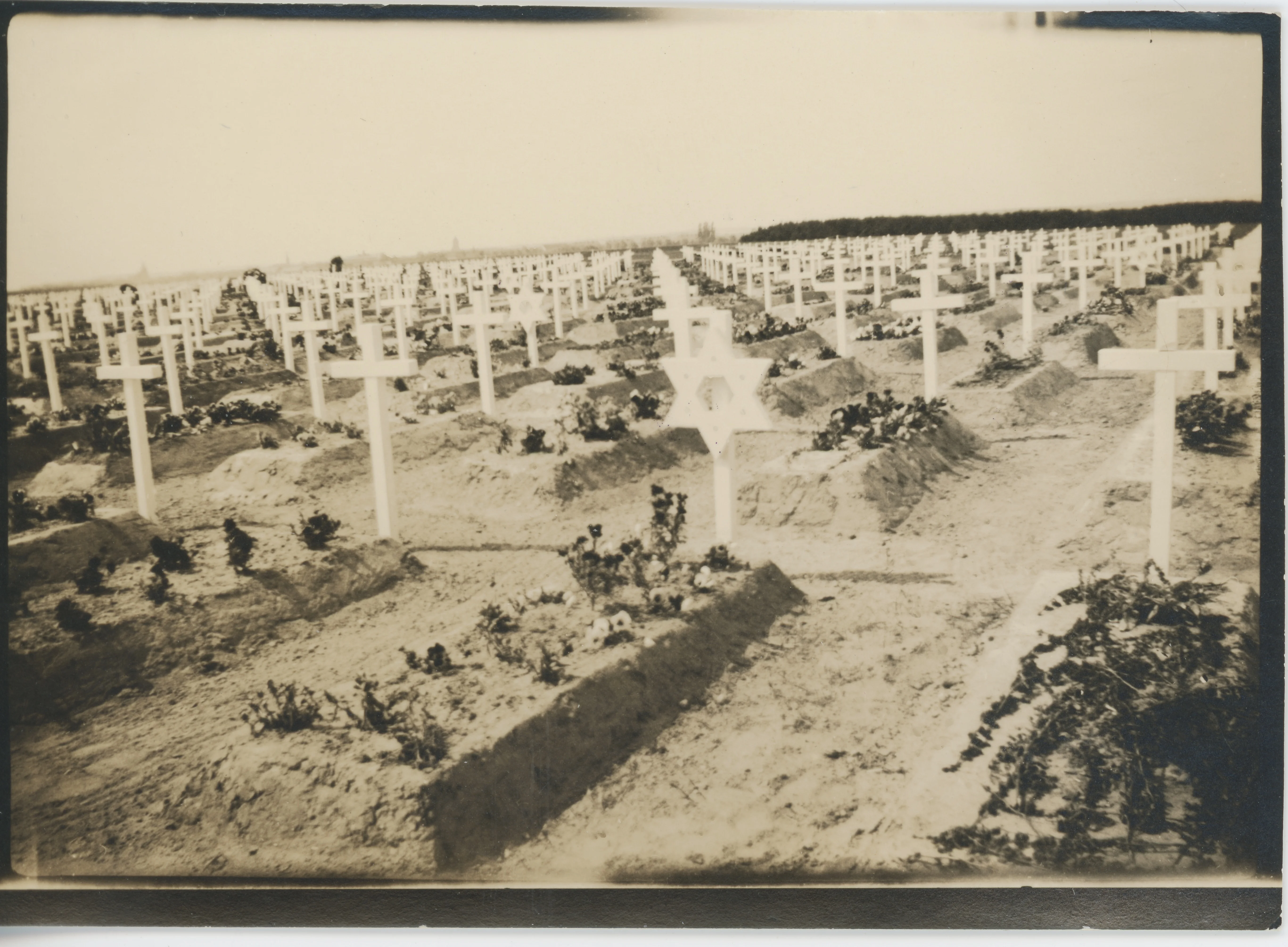 Prov Cemetery Gardelegen ?.webp