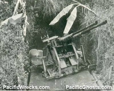 rabaul-aa-platform-cave.webp