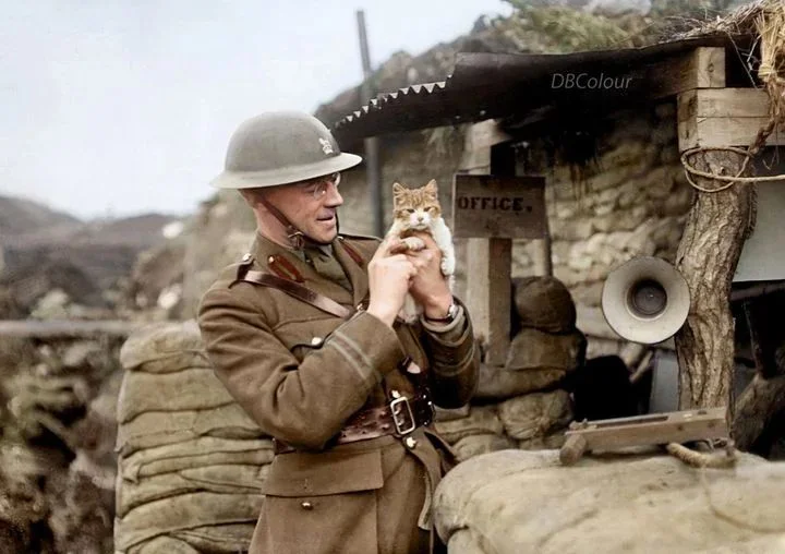 Royal-Irish-Rifles-108th-Brigade.webp